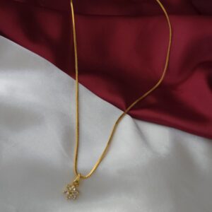 Premium  foaming ad dollar chain