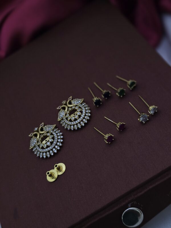 Premium changeable earing