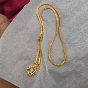 Premium 18 inches dollar chain