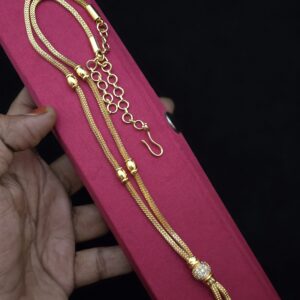  Premium ad 24 inches dollar chain