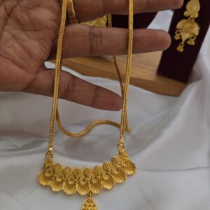  Premium foaming 24 inhces dollar chain