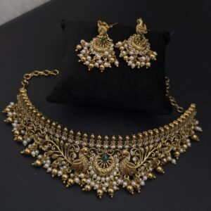 Premium matt choker with earing