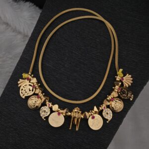 Premium foaming thali set