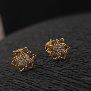 Premium foaming ad stone star earings  