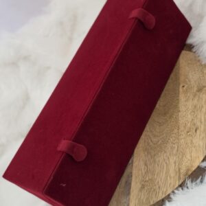  Premium red earing organiser with 16 partitions